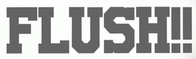 logo Flush (KOR)